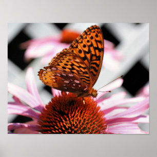 Schmetterling an der Wand 2 Poster