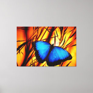 Schmetterling Art 39 Optionen Leinwanddruck