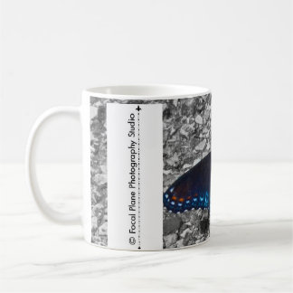 Schmetterling auf Beton Tasse