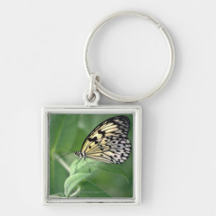 Schmetterling auf Blatt Schlüsselanhänger