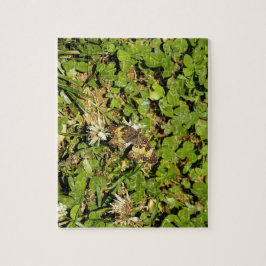 Schmetterling auf Blättern Puzzle