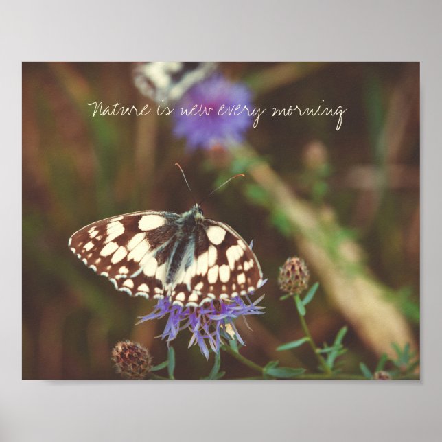 Schmetterling auf blauer Blume Poster (Vorne)