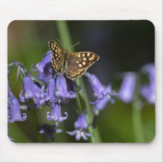 Schmetterling auf Bluebells Mousepad