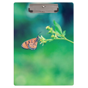 Schmetterling auf Blume 2 Klemmbrett