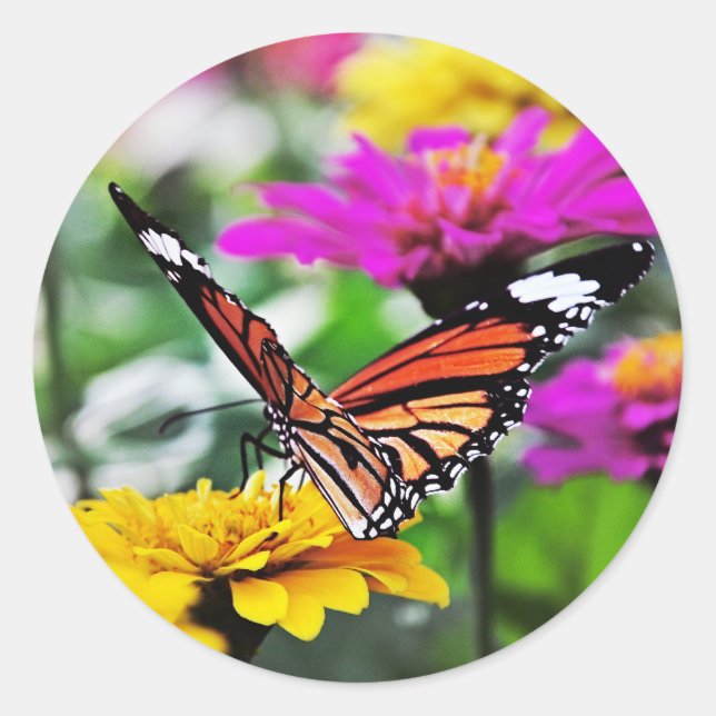 Schmetterling auf Blume #2 Runder Aufkleber (Vorderseite)