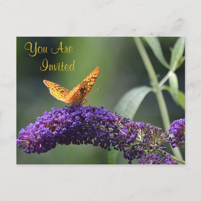 Schmetterling auf Blume Einladung (Vorderseite)