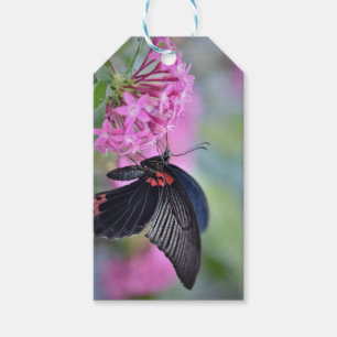 Schmetterling auf Blume Geschenkanhänger
