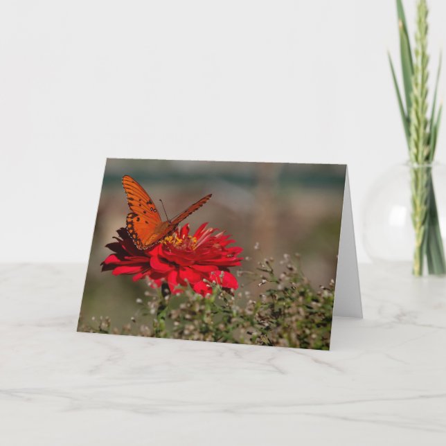 Schmetterling auf Blume Karte (Vorderseite)