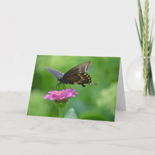 Schmetterling auf Blume Notecard Karte