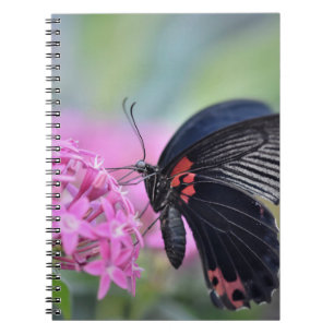 Schmetterling auf Blume Notizblock