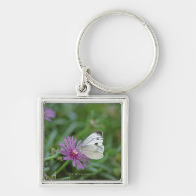 Schmetterling auf Blume Schlüsselanhänger (Vorne)