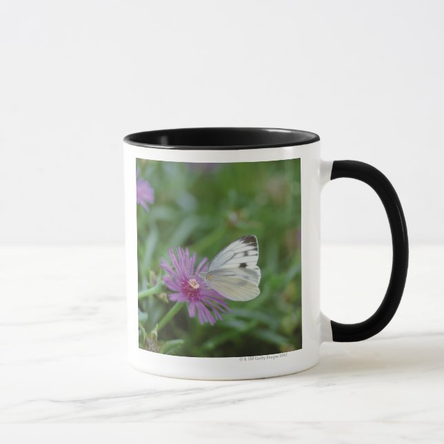 Schmetterling auf Blume Tasse (Rechts)