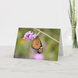 Schmetterling auf Blumen-Gruß-Karte (freier Raum Karte
