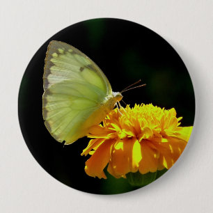 Schmetterling auf Blumen-Knopf-Button Button