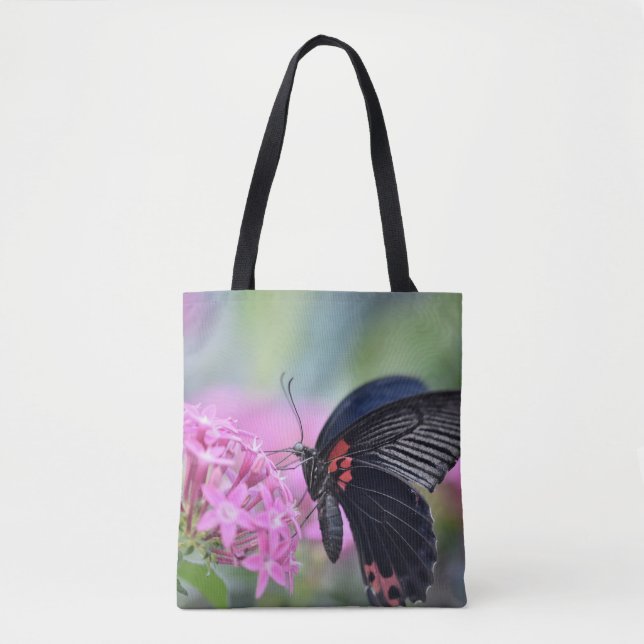 Schmetterling auf Blüte (Vorderseite)