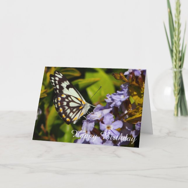 Schmetterling auf der Blume, Blankokarte Karte (Vorderseite)