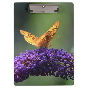Schmetterling auf der Blume Klemmbrett