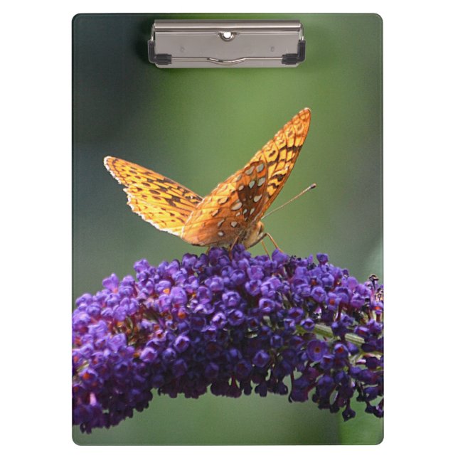 Schmetterling auf der Blume Klemmbrett (Vorderseite)