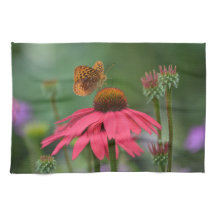 Schmetterling auf der Blume