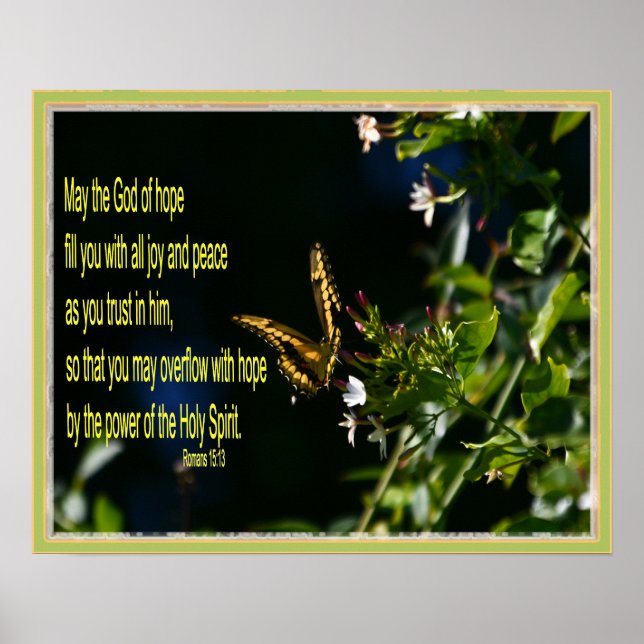 Schmetterling auf der Blume Römer 15:13 Poster (Vorne)