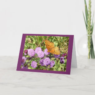 Schmetterling auf der Gayfeather-Blank-Karte Karte