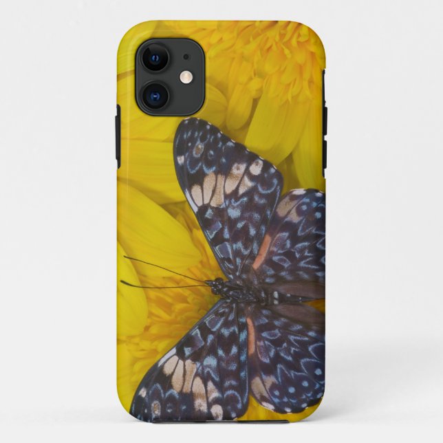 Schmetterling auf der gelben Blume Case-Mate iPhone Hülle (Rückseite)