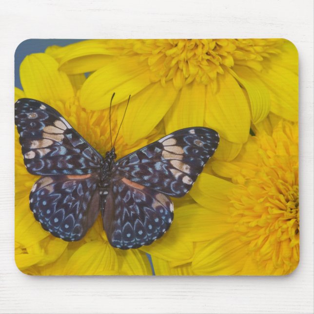 Schmetterling auf der gelben Blume Mousepad (Vorne)