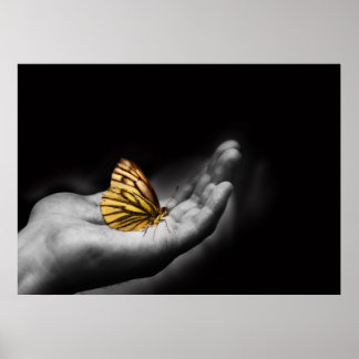 Schmetterling auf der Hand Poster