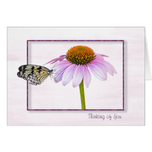Schmetterling auf der Kone-Blume