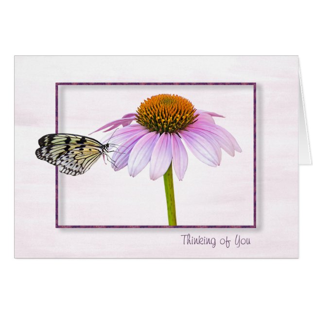 Schmetterling auf der Kone-Blume (Vorderseite (Horizontal))