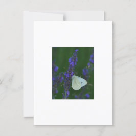 Schmetterling auf der Lavendel-Postkarte Postkarte