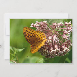 Schmetterling auf einem Milchweh - flache Grußkart Karte