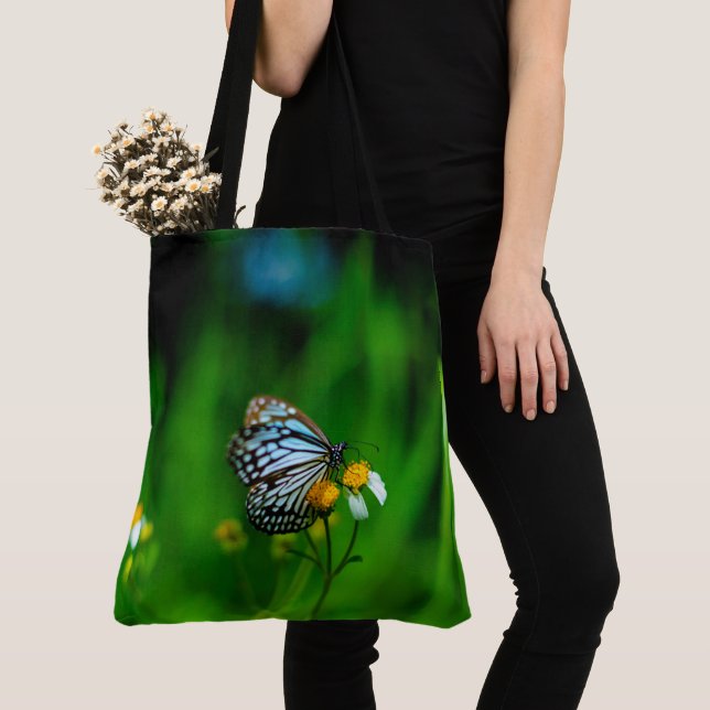 Schmetterling auf einer Blume (Von Nahem)