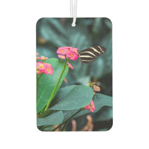 Schmetterling auf einer Blume Autolufterfrischer