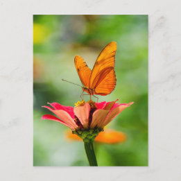 Schmetterling auf einer Blume Postkarte