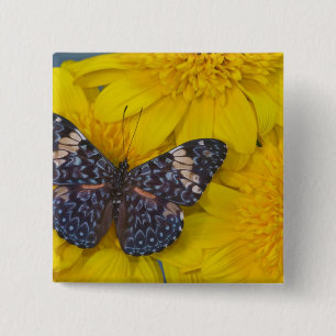 Schmetterling auf einer gelben Blume Button