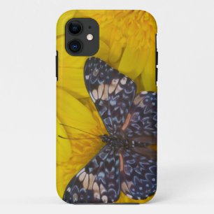 Schmetterling auf einer gelben Blume Case-Mate iPhone Hülle