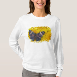 Schmetterling auf einer gelben Blume T-Shirt