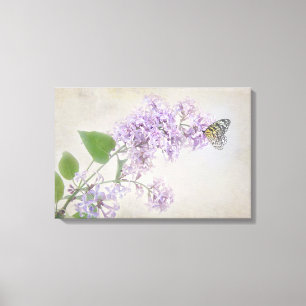 Schmetterling auf Fliederblüte Leinwanddruck