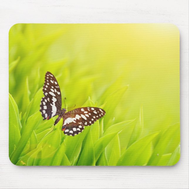 Schmetterling auf frisch grünem Gras Mousepad (Vorne)