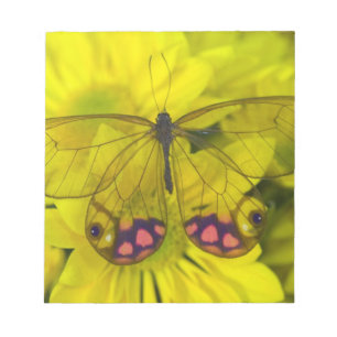 Schmetterling auf Gelb Notizblock