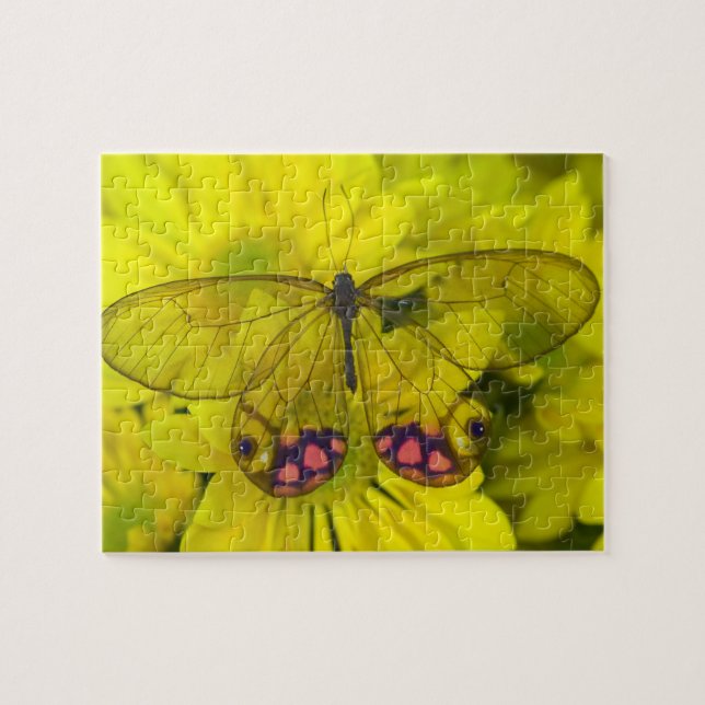 Schmetterling auf Gelb Puzzle (Horizontal)