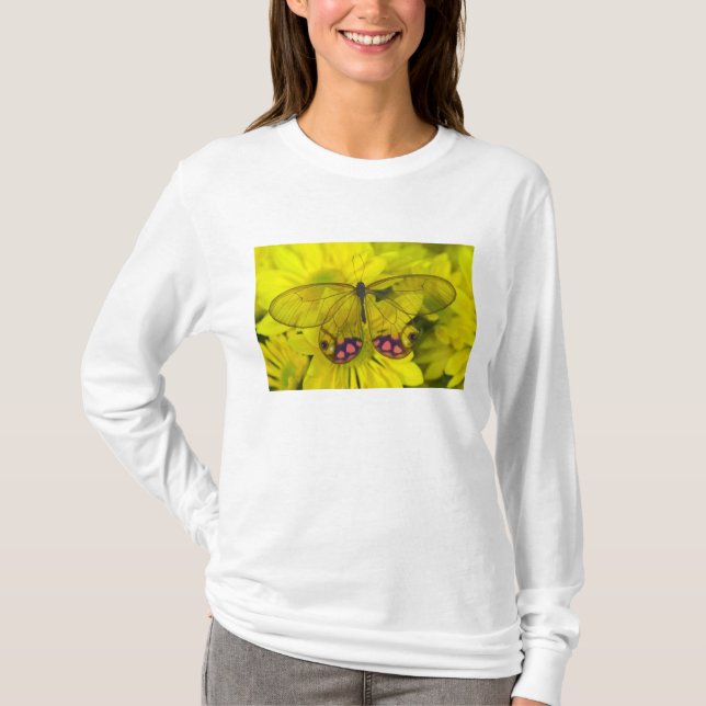 Schmetterling auf Gelb T-Shirt (Vorderseite)