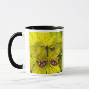 Schmetterling auf Gelb Tasse