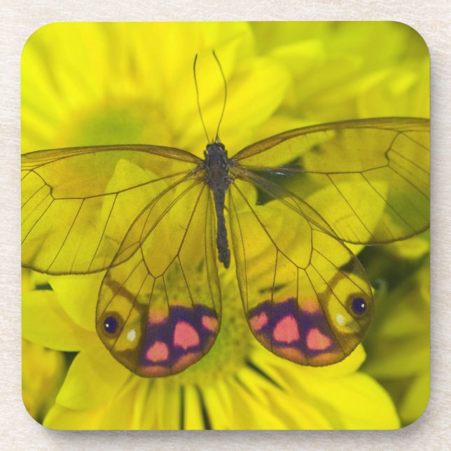 Schmetterling auf Gelb Untersetzer (Vorderseite)