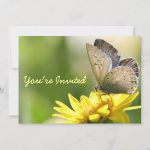 Schmetterling auf Gelbe Blume Brautparty Einladung