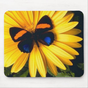 Schmetterling auf gelbem Gänseblümchen Mousepad