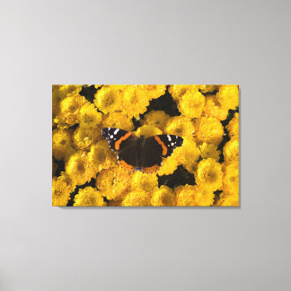 Schmetterling auf gelben Sternen Leinwanddruck