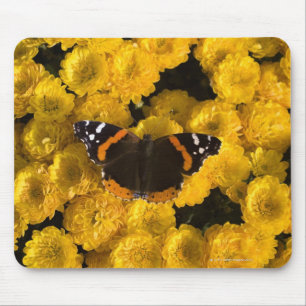 Schmetterling auf gelben Sternen Mousepad