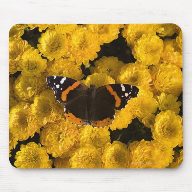 Schmetterling auf gelben Sternen Mousepad (Vorne)